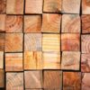 A Guide to Choosing the Right Wood for Your Projects