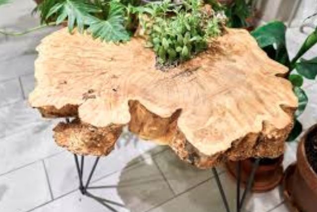 Woodworking with Live Edge Slabs: Capitalizing on Nature's Beauty